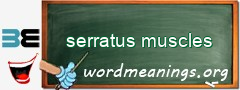 WordMeaning blackboard for serratus muscles